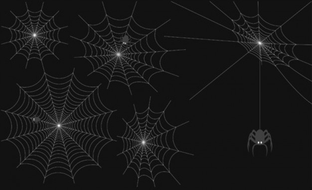 Spider Hunting Web Set Download Free Animal Vectors 626x382 Spider Hunting Web Set Download Free Animal Vectors