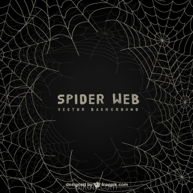 Spider Web Background On Blackboard Vector Free Download 626x626 Spider Web Background On Blackboard Vector Free Download
