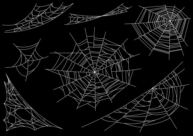 Spider Web Vector Free at Vectorified.com | Collection of Spider Web ...