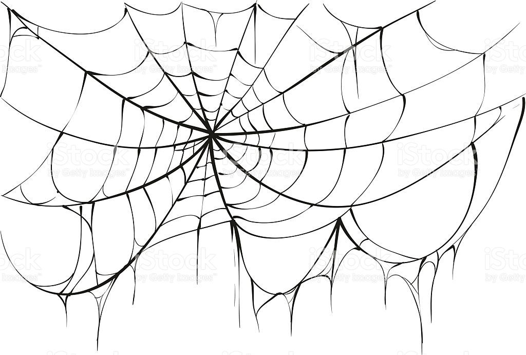 Torn Spider Web On White Background Vector Illustration Design 1024x691 Torn Spider Web On White Background Vector Illustration Design