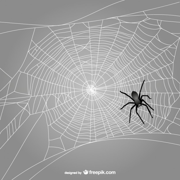 Black Spider Web Vector Vector Free Download 626x626 Black Spider Web Vector Vector Free Download