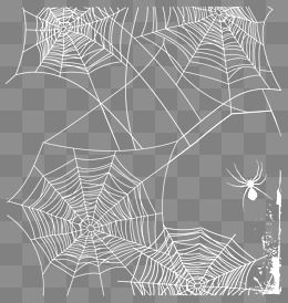 Spider Web Vector Free Download
