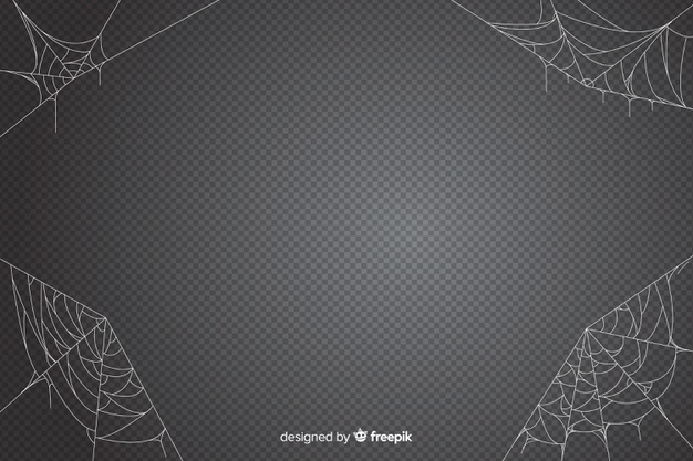 626x417 Halloween Spider Photo Backdrop Image