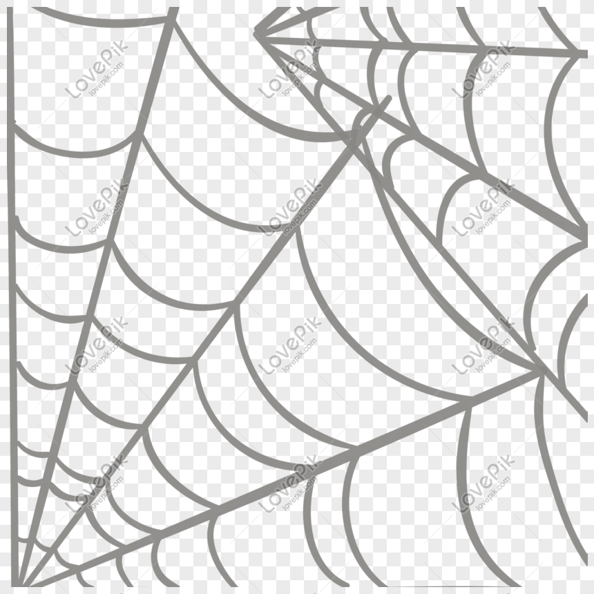 860x860 Hand Drawn Cartoon Spider Web Spider Silk Vector Element Png