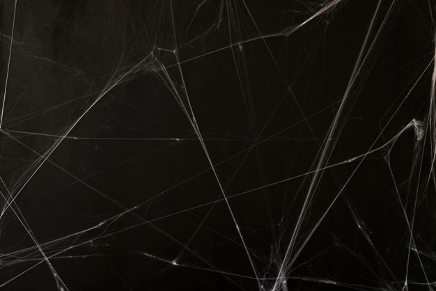 626x418 Realistic Spider Web Png Images