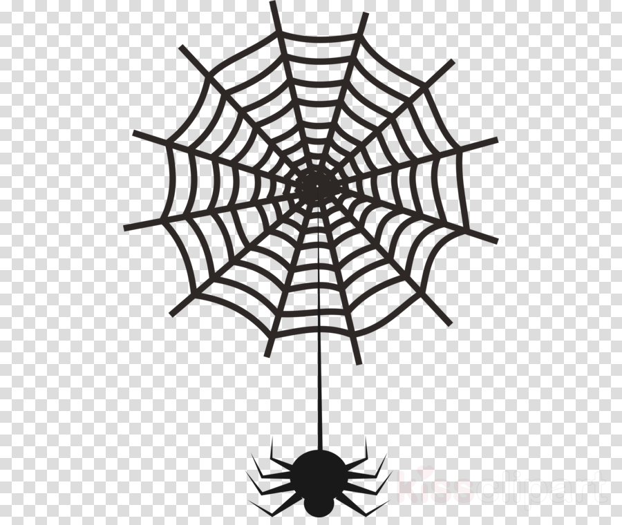 Spider Web Vector Free Download At Vectorified.com | Collection Of ...