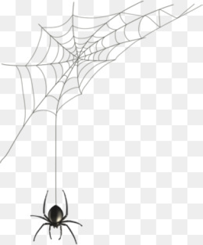 400x481 Spider Web Png