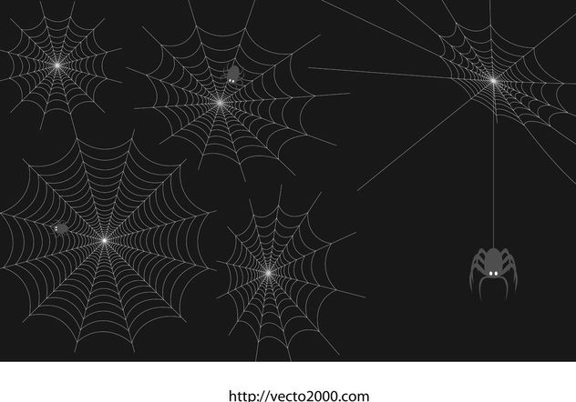 632x442 Spider Web Vector Set Free Vector Download Cannypic
