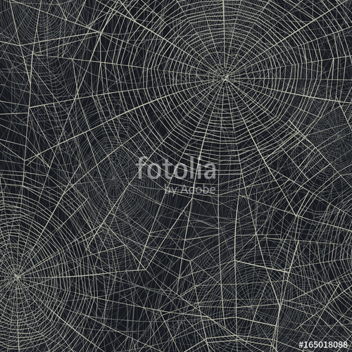 500x500 Spider Web Vector Illustration Abstract Halloween Background