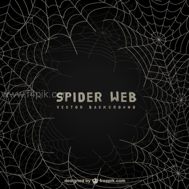 626x626 Vector Spider Web Background On Blackboard Free Download