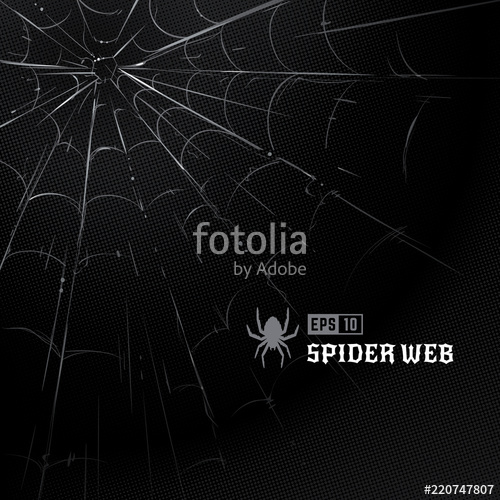 500x500 Vector Spider Web On Black Halftone Background Hand Drawn Spider