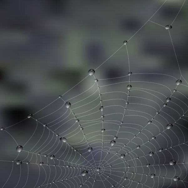 600x600 Elements Of Dew And Spider Web Vector Over Millions Vectors