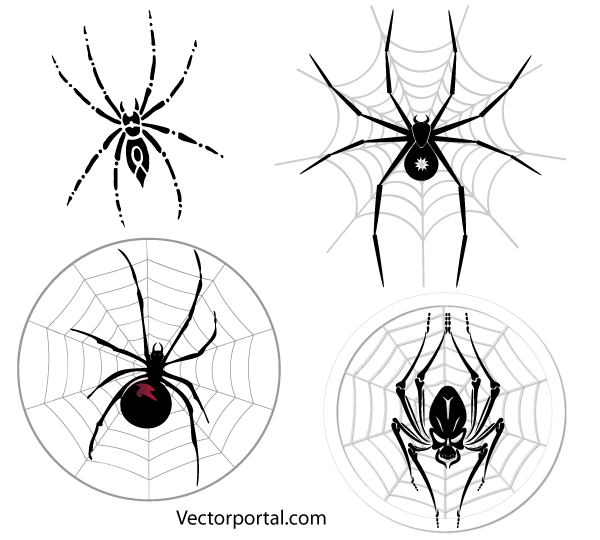 600x540 Free Spider Web Vector Images