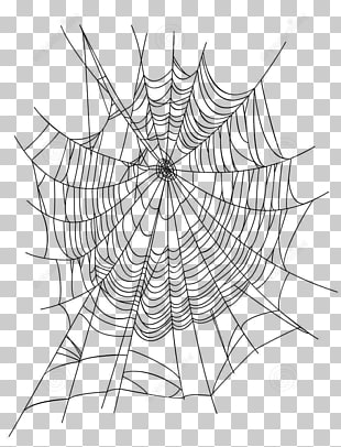 Spider Web Vector Png