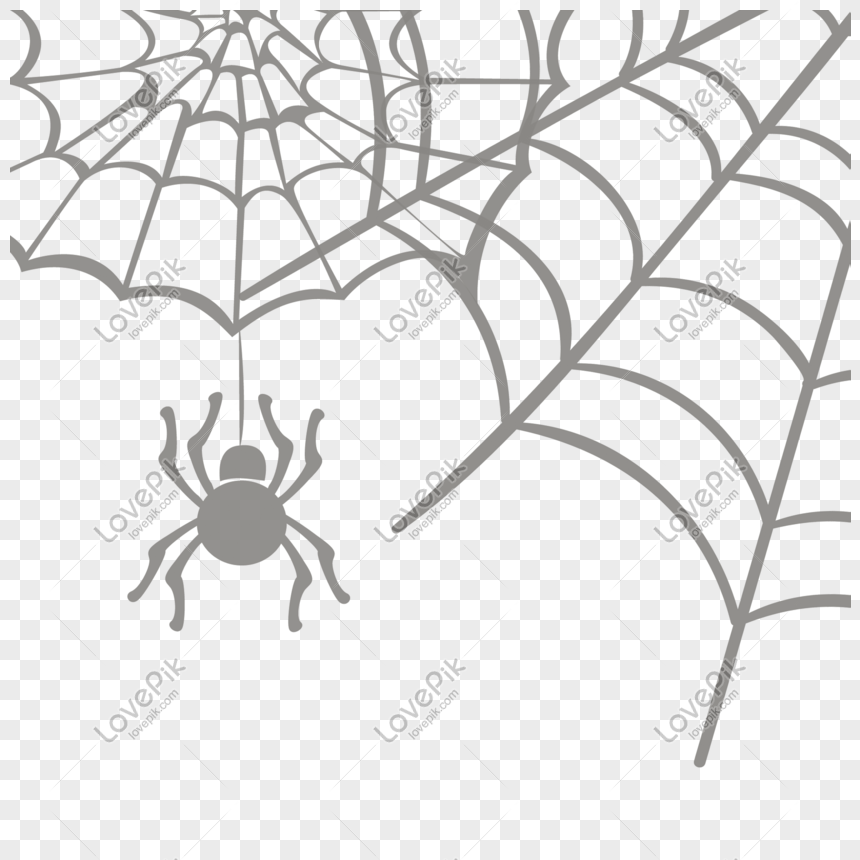 860x860 Hand Drawn Cartoon Spider Web Spider Silk Vector Material Png