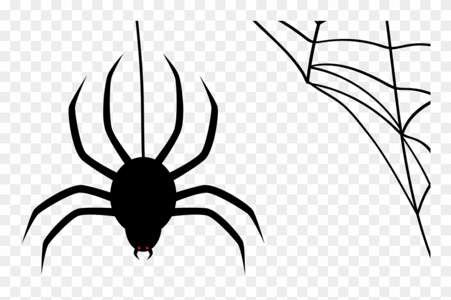 880x586 How Birds Fly