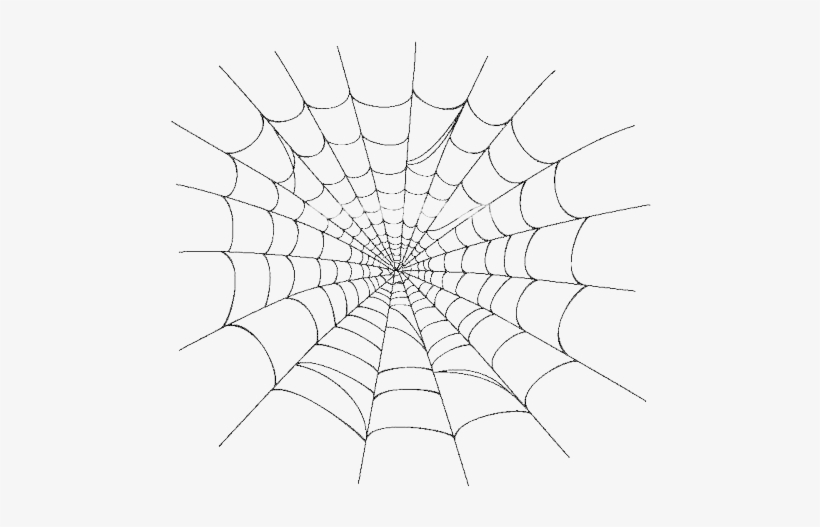 820x527 Realistic Spider Web Png Download