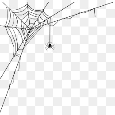 400x400 Spider Web Png