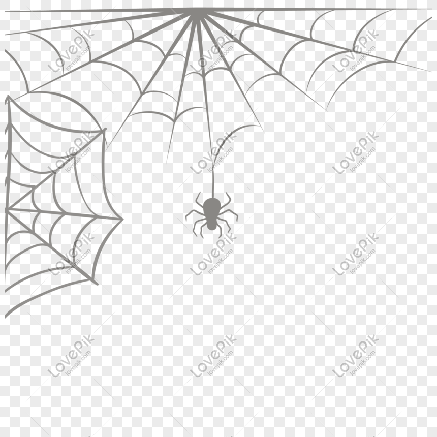 860x860 Black Horror Spider Web Element Vector Element Png Image Picture