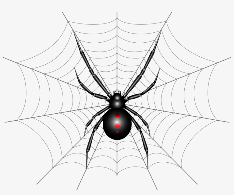 820x681 This Is A Vector Illustration Of A Black Widow Spider