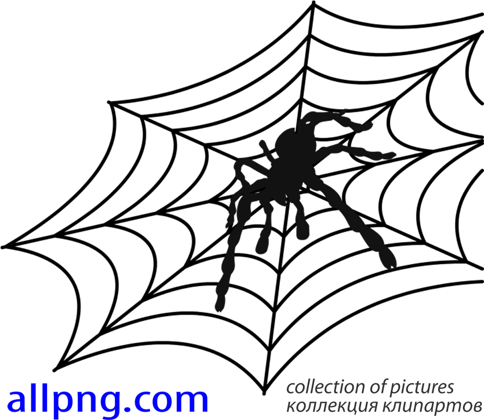 Spider Web Vector Png at Vectorified.com | Collection of Spider Web ...