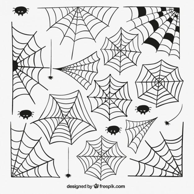 626x626 Hand Drawn Spider Webs Vector Free Download