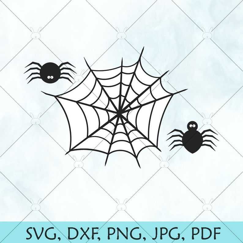 794x794 Spider Spider Web Spiders And Webs Vector