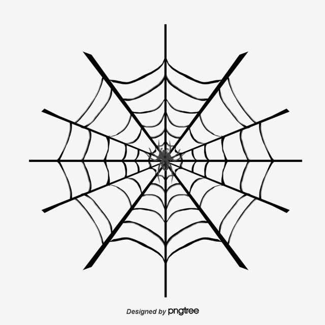 640x640 Spider Web Png, Vector, And Clipart With Transparent