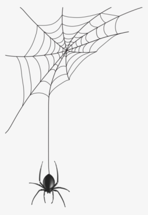 300x433 Spider Webs Png, Transparent Spider Webs Png Image Free Download