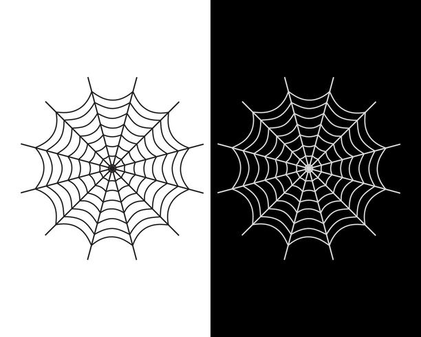 612x490 Spider Web Vector Icon White And Black Color On White And Black
