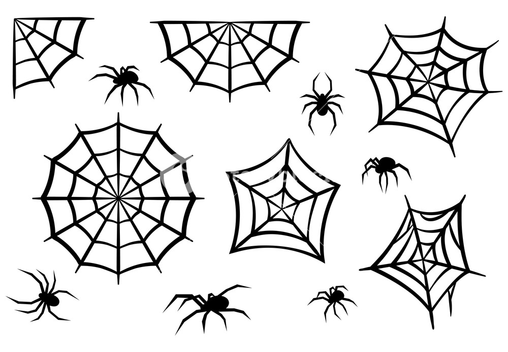 1000x692 Black Silhouettes Of Spiders And Spider Webs Halloween Elements