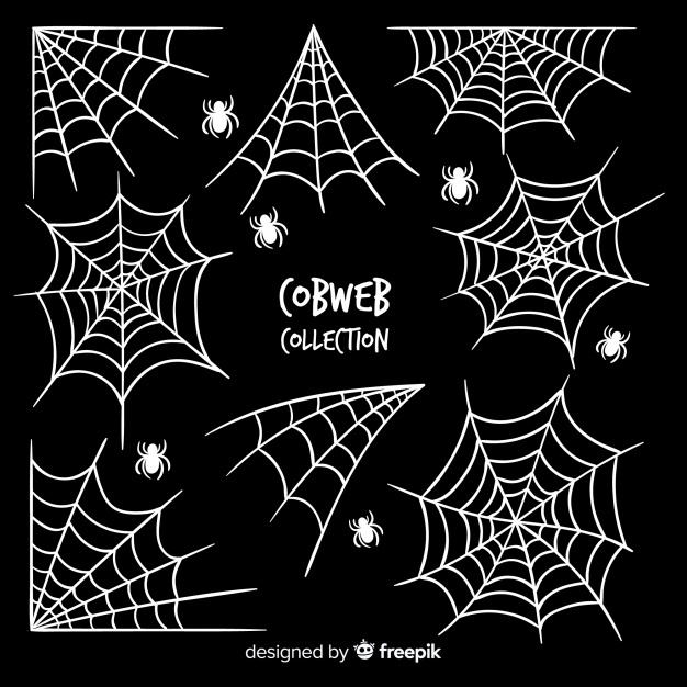 626x626 Spiderweb Vectors, Photos And Free Download