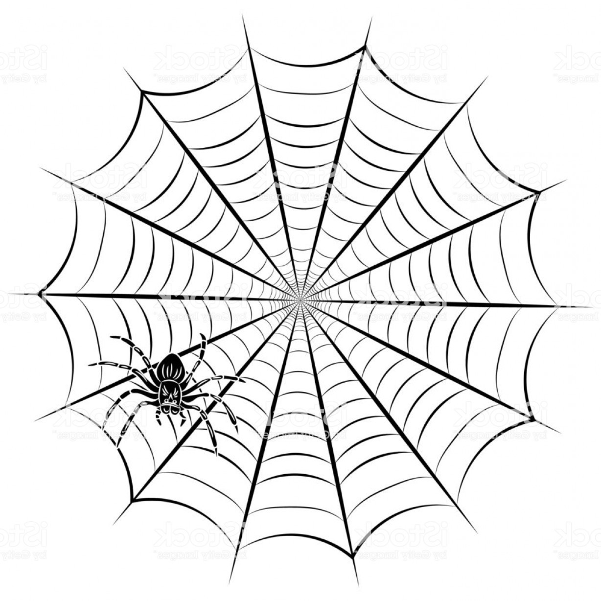 1228x1228 Tribal Spider Web Vector Lamaison
