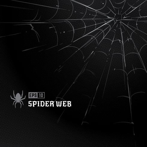 490x490 Vector Spider Web On Black