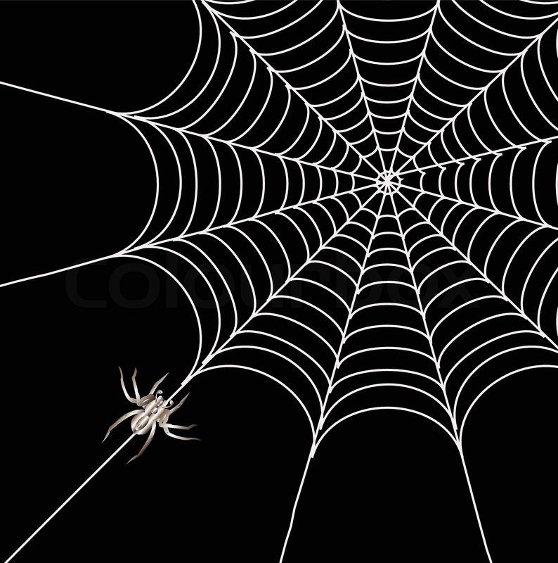 794x800 Vector Of 'black Spider And Spider Web Isolated On The White