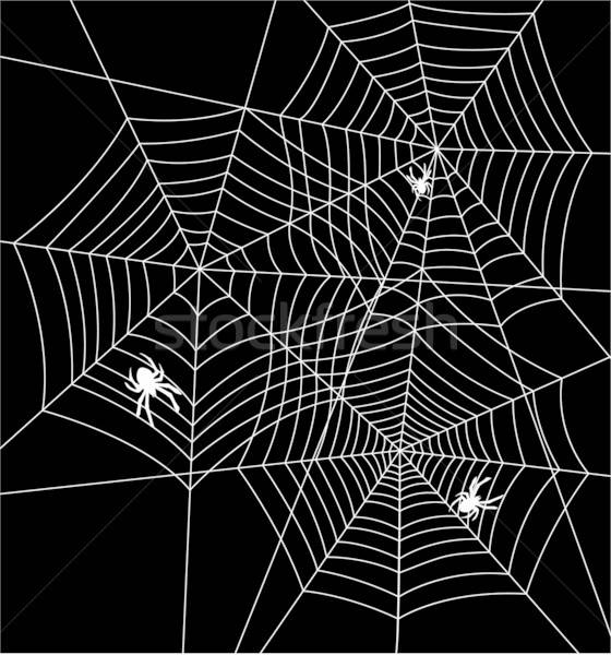 560x600 Vector Spiders And Webs Vector Illustration Dmitry Merkushin