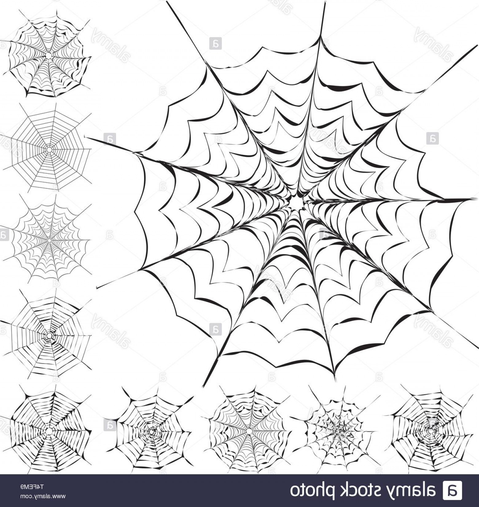 1560x1653 Easy Spider Vector Illustration Hoodamathrun