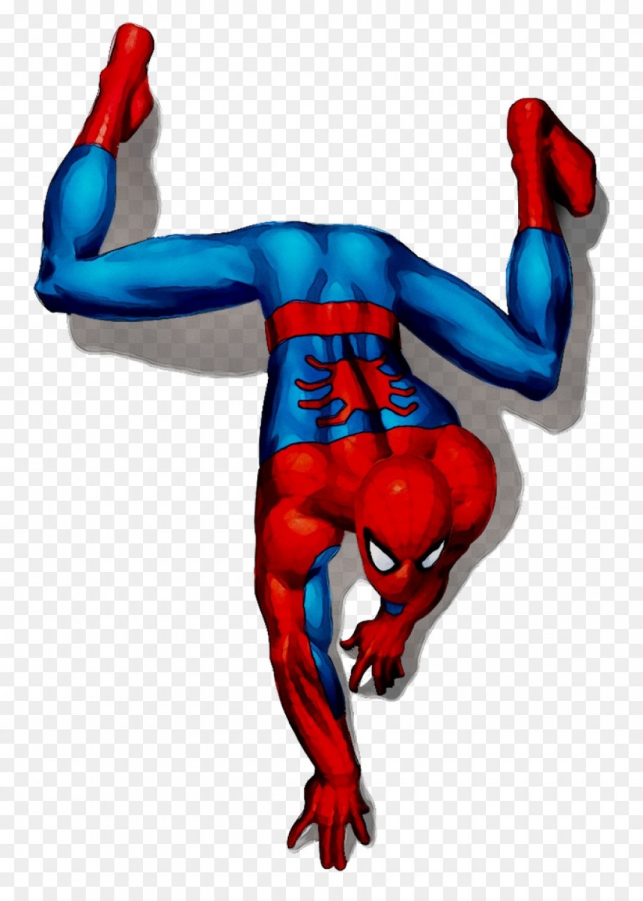 1296x1814 Spider Man High Res Vector Handandbeak