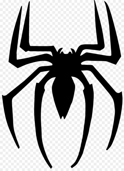 Spider Png 400x551 Spider Png