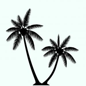 Png Spider Man Ben Parker Vector Graphics Image Superh Handandbeak 300x300 Png Spider Man Ben Parker Vector Graphics Image Superh Handandbeak