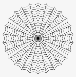 300x302 Spiderman Web Png, Transparent Spiderman Web Png Image Free
