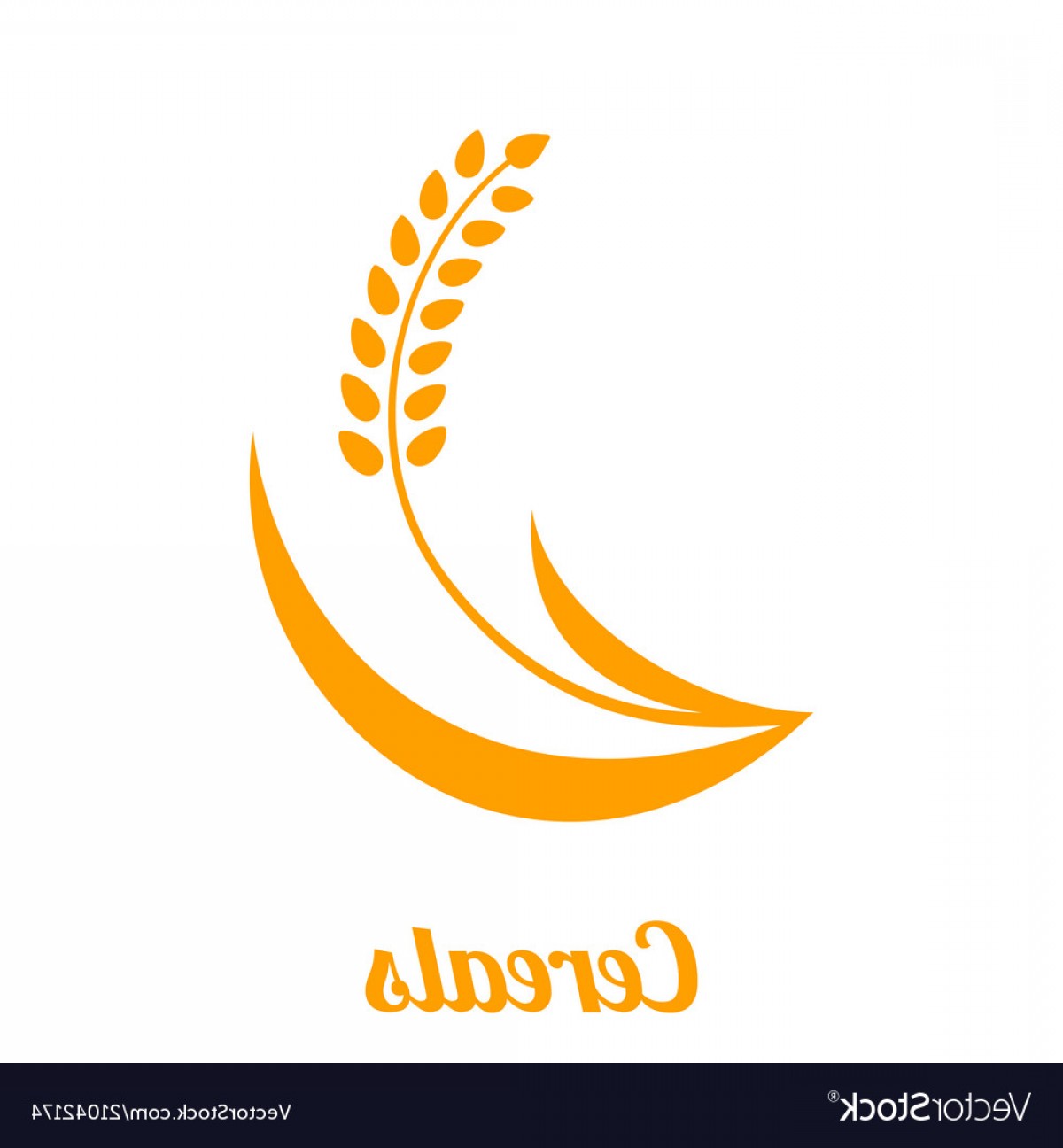 1200x1296 Wheat Spike Yellow Isolated On White Background Vector Hoodamathrun