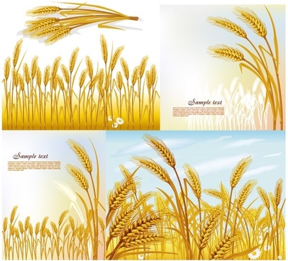 406x368 Wheat Spike Vector Free Vector Download