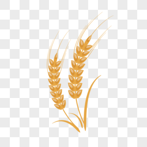 300x300 Golden Wheat Spike Vector Material Images Golden Wheat Spike