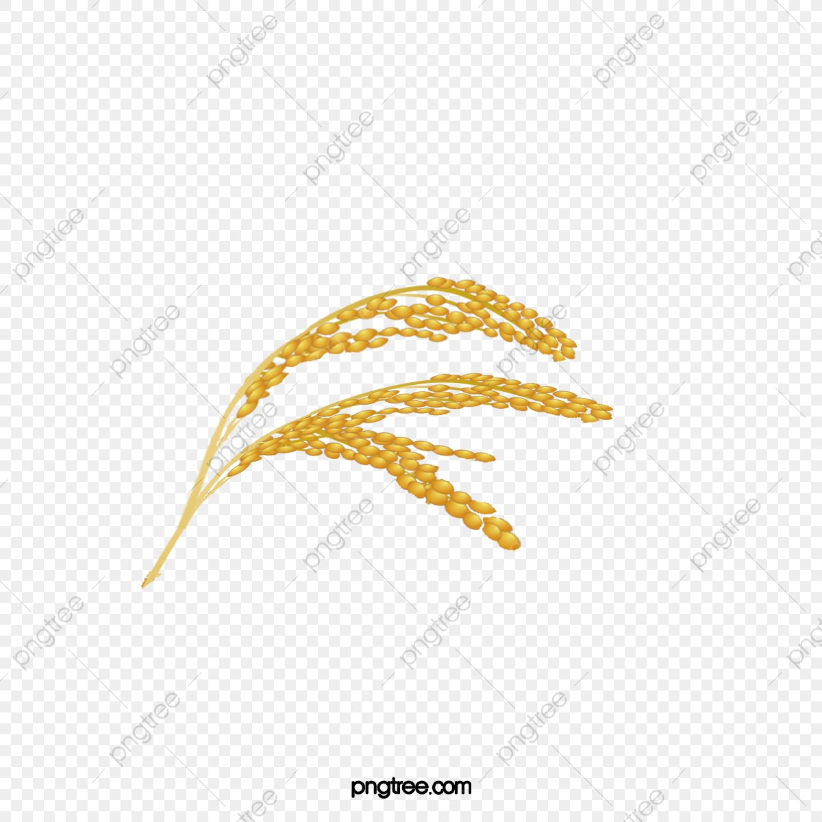 1200x1200 Golden Spike, Vector, Rice, Golden Png And Vector With Transparent
