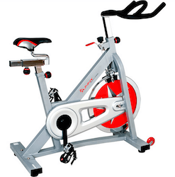 247x250 Best Spin Bike Reviews And Indoor Cycle Comparisons