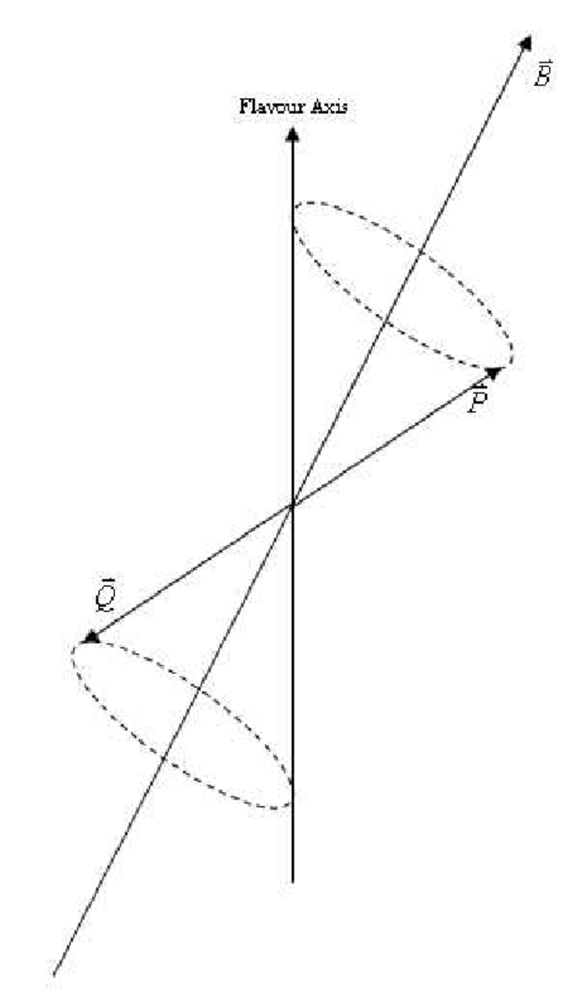 850x1461 Spin Vector P Began Its Life Aligned With The Flavour Axis Q