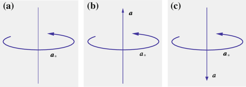 850x302 Fig Spin Vector And Its Representation