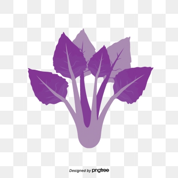 360x360 Spinach Png, Vector, And Clipart With Transparent Background