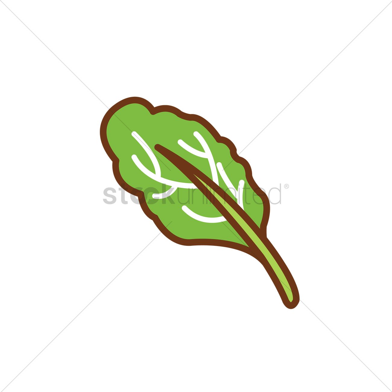 1300x1300 Spinach Vector Image